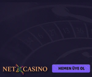 netxcasino